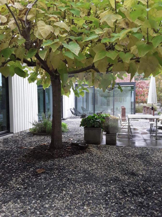 Maan B&B + Galerie Kortgene Exterior foto
